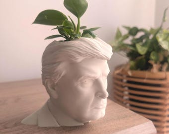 May include: A white ceramic planter shaped like a head, with green plants sprouting from the top. The planter has detailed facial features and is placed on a wooden surface.