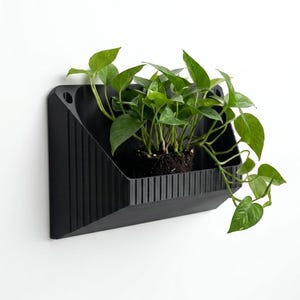 Hanging Pot unique design for home decor indoor succulent wall mounted planter - Low maintenance