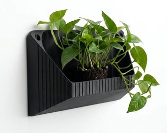 Hanging Pot unique design for home decor indoor succulent wall mounted planter - Low maintenance