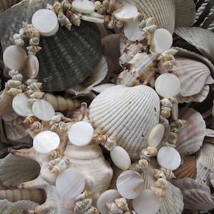 Lanyard,  Natural shell beaded lanyard, men natural shell beaded lanyard, women natural shell beaded lanyard,  716