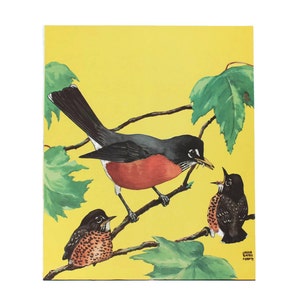 Robin Birds at Home door Jacob Bates Abbott Lithografie Print Vintage School Science Chart of Poster