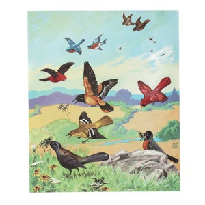 Birds at Home door Jacob Bates Abbott Vogels voeden zich met insecten Lithografie Print Vintage School Science Chart of Poster