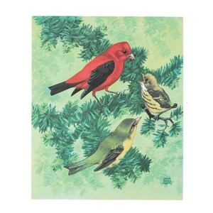 Tanager Birds at Home door Jacob Bates Abbott Lithografie Print Vintage School Science Chart of Poster