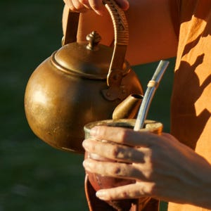 Imperial Mate Gourd Engraved Leather, Premium Mate Cup, Handcrafted mate, Argentinian Gift, German Silver Mate cup, Free straw and brush