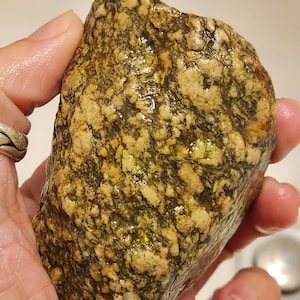 Peut inclure: Une pierre humide de forme irrégulière présentant une texture tachetée avec un mélange d'inclusions minérales crème, beige et vert olive foncé. La surface semble polie et lisse grâce à l'humidité, soulignant la structure cristalline dense.