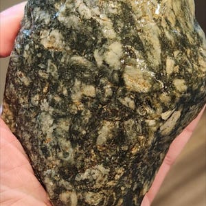 May include: A rough, irregularly shaped rock featuring a mottled pattern of dark forest green, olive, and creamy white mineral inclusions. The surface has a polished, slightly glossy texture with visible crystalline veins throughout the stone.
