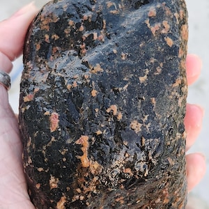 Peut inclure: Une grande pierre irrégulière avec une base noire brillante et sombre, présentant des taches texturées dispersées d'inclusions minérales orange clair et beige sur toute la surface, créant un aspect tacheté à fort contraste.