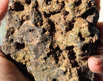 May include: A dark brown, porous rock with a rough, uneven surface texture. The stone features numerous small, irregular cavities and pits throughout its exterior, with patches of lighter tan and reddish-brown mineral deposits visible within the crevices.