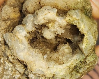 Geoda de coral fósil agatizado.