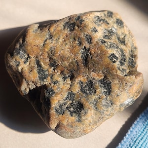May include: A natural stone with a speckled pattern. The rock has a tan and brown base color with black spots throughout. The stone has a rough, textured surface and an irregular shape. The image is well-lit, highlighting the stone's details.