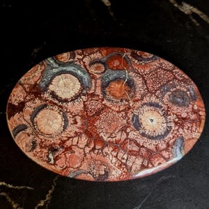 1 Piece Red Fossil Coral Flat Back Gem Cabochon gem for rings, wire wrapping, pendant setting, macrame or metalsmith jewelry supplies 58x40