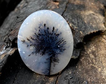 May include: Oval-shaped gemstone with a dendritic pattern resembling a tree. The stone features a white base with a dark blue and black tree-like inclusion. The gemstone is set against a dark, textured wooden surface.