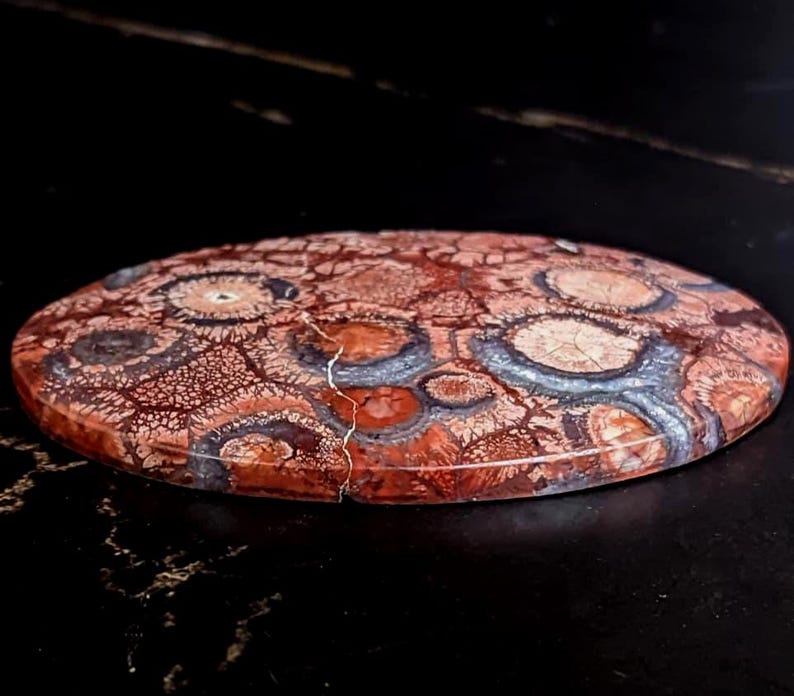 1 Piece Red Fossil Coral Flat Back Gem Cabochon gem for rings, wire wrapping, pendant setting, macrame or metalsmith jewelry supplies 58x40