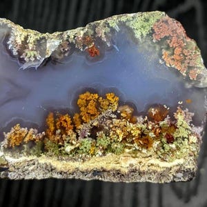 May include: A polished agate stone slice displaying a natural landscape. The stone has a pale blue central area with orange, green, and red mineral deposits, creating a forest-like appearance. The edges are rough and textured, with a variety of colours.
