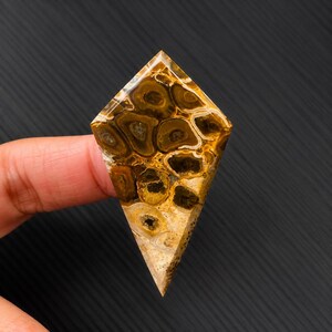 パームルートジャスパーカボション 46x26x5mm | 幾何学的な凧形ストーン | オーシャンジャスパー風パターン | 天然のステートメントジェム