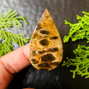 以下が含まれることがあります： 茶色、黒、黄色の独特な模様が特徴的な、涙型の宝石。研磨された表面は自然で有機的なデザインを示しており、ジュエリー作りやコレクションに最適です。石は、緑の葉を背景に、暗い背景に保持されています。