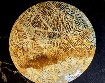 Fossil coral cabochon 49 x 5 mm