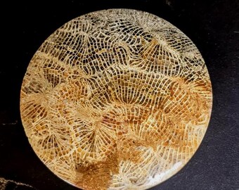 Natural Fossil Coral Gemstone Cabochon: Jewelry Making Pendant 49x 6 mm