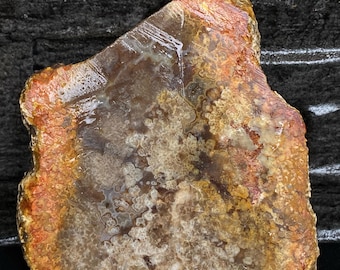 Puede incluir: Una losa grande de ágata de forma irregular con un patrón de color blanco, marrón y naranja. La ágata tiene una superficie lisa y pulida.