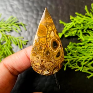 May include: A teardrop-shaped gemstone with a polished surface. The stone features a pattern of brown, tan, and black circular and oval shapes. The gemstone is held in a hand against a dark background with green foliage.