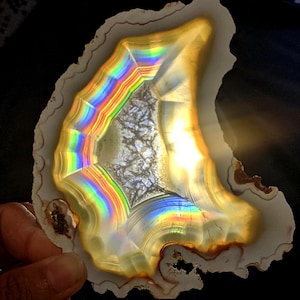 May include: A polished agate geode slice, displaying a spectrum of rainbow colours within its crystalline structure. The outer edge is a creamy white with brown accents, and the centre reveals a detailed, textured pattern. The geode is held against a dark background.