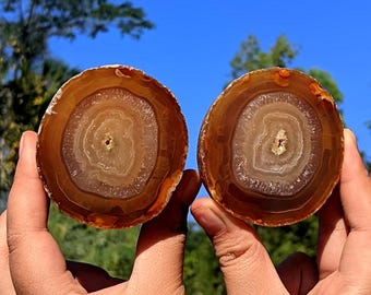 Natural Brown Agate Geode Bookends Pair | Polished Druzy Crystal Display | 65x63x55 & 65x60x30 mm Home Decor Gift
