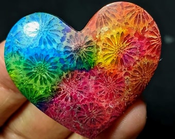 5 Rainbow Dyed Fossil Coral Heart Cabochons | Jewelry Making