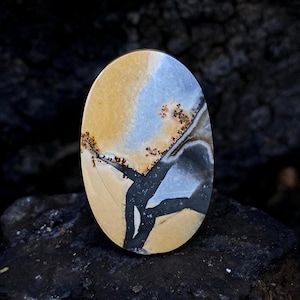 May include: An oval-shaped gemstone with a unique pattern. The stone features a blend of tan, light blue, and black colors, with intricate veining and brown speckles. The polished surface of the stone is smooth and reflective, showcasing its natural beauty.
