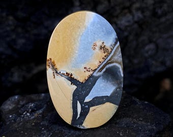 May include: An oval-shaped gemstone with a unique pattern. The stone features a blend of tan, light blue, and black colors, with intricate veining and brown speckles. The polished surface of the stone is smooth and reflective, showcasing its natural beauty.