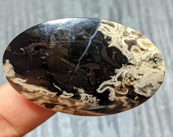 Palm Root Fossil Cabochon 41x25x5mm | Natural Oval Palm Root Gemstone | Polished Fossil Stone for Wire Wrap Jewelry Making