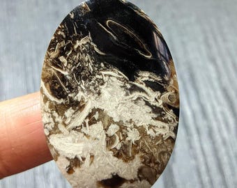 Palm Root Fossil Cabochon 42x27x5mm | Natural Palm Root Gemstone | Oval Fossil Stone for Wire Wrap, Jewelry Making & Collection