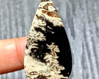 Palm Root Fossil Cabochon 40x20x4mm | Natural Pear Gemstone | Fossil Palm Root Cab for Wire Wrap Jewelry Making & Collecting