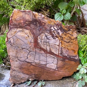 May include: A large slab of polished agate with a unique pattern of brown, red, and white veins. The agate has a natural, rough edge and a smooth, polished surface.
