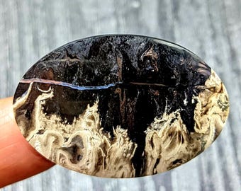 Palm Root Fossil Cabochon 34x23x4mm | Natural Oval Fossil Gemstone | Polished Palm Root Stone for Wire Wrap Jewelry Making