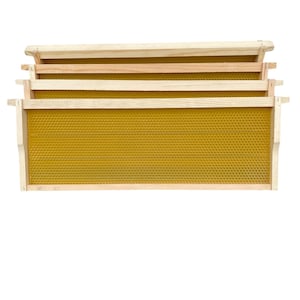 May include: Three wooden beehive frames stacked on top of each other. The frames are made of light-colored wood and have a honeycomb-patterned wax foundation. The frames are designed for beekeeping and honey production.