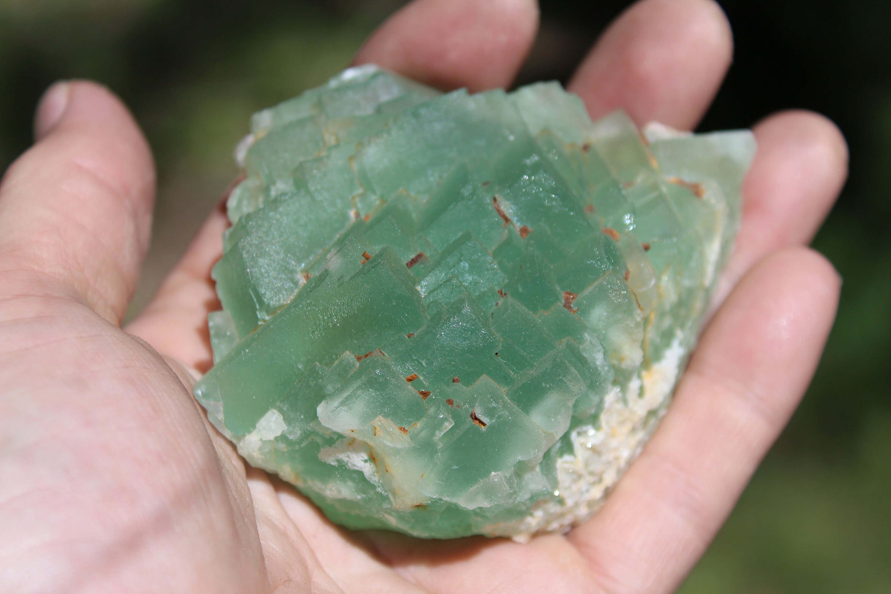 Lovely Mint Green Fluorite Crystal Cluster Specimen Etsy
