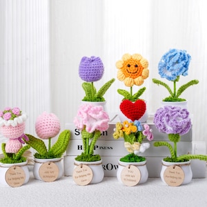 Handmade Crochet Flower Desk Decor: Emotional Support Plant with Tag