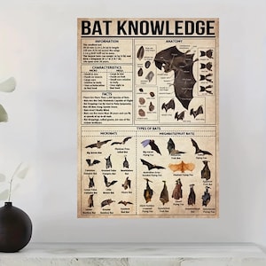 Vintage Fledermaus Wissen Poster, Fledermäuse Poster Homeschool Lernposter Bad Print Charlotte Mason Natur Lernen, Fledermausliebhaber Leinwand