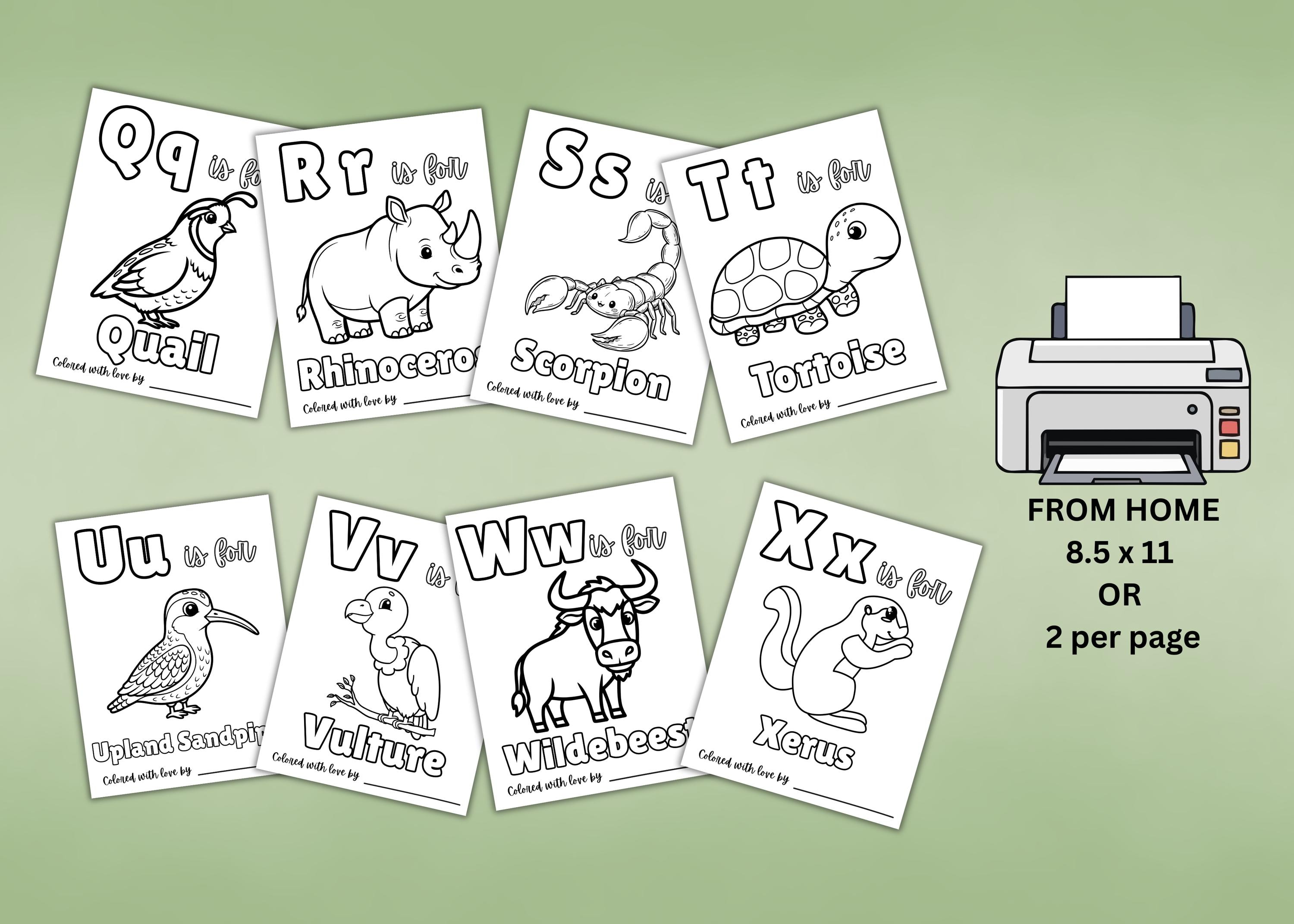 Babys First ABC Coloring Book, Safari Animals, Baby Shower Activity ...