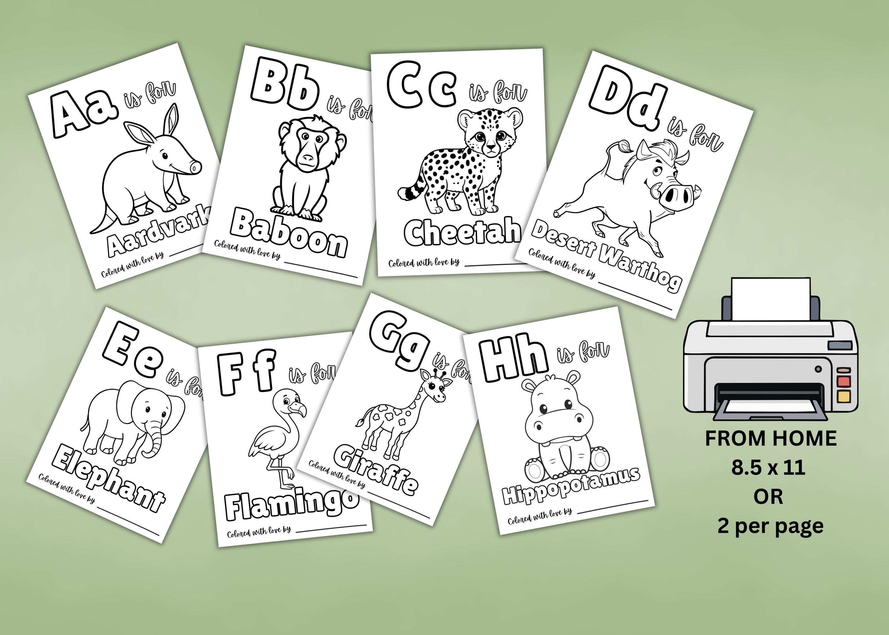 Babys First ABC Coloring Book, Safari Animals, Baby Shower Activity ...