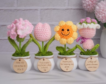 Grazie per avermi aiutato a coltivare un vaso regalo, graziosi girasoli/cuori/piante di rose all'uncinetto, regalo di supporto emotivo, regalo di ringraziamento, regalo per insegnanti