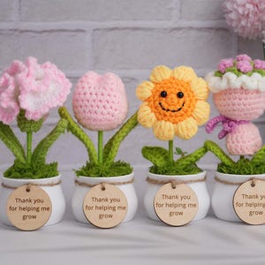Thank You For Helping Me Grow Pot Gift,Cute Crochet Sunflowers/Hearts/Rose Plants,Emotional Support Gift,Thank You Gift,Teacher Gift