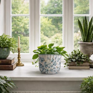 May include: A selection of potted plants on a windowsill. Features a green fern in a textured pot, a plant in a blue and white patterned pot, and a snake plant in a stone urn. A candle and books are also present.
