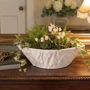 May include: A white ceramic planter with a textured, bark-like exterior surface. The planter is filled with green ferns, small white cyclamen flowers, and trailing variegated ivy vines, creating a lush, natural arrangement in a bowl shape.