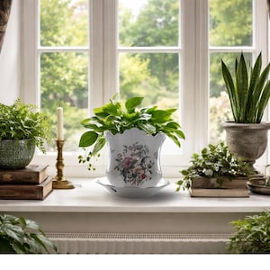 May include: A window sill with several potted plants, including a fern in a green textured pot on old books. A white floral planter with a matching saucer holds a leafy plant. A tall snake plant is in a stone pot.