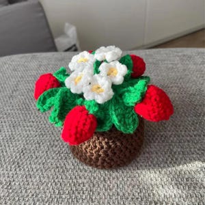 以下が含まれることがあります： 茶色の鉢に白い花が咲いた、かぎ針編みのイチゴの植物。植物は赤、緑、白の糸でできています。