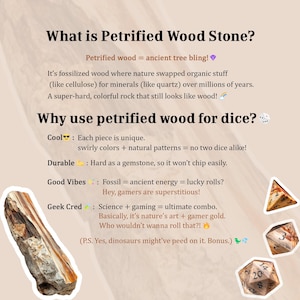 Puede incluir: Conjunto de dados de madera petrificada con un primer plano de un solo dado con los n&uacute;meros 20, 14, 8, 2, 6 y 4. Los dados est&aacute;n hechos de madera petrificada y tienen un patr&oacute;n natural en espiral. El texto "Cool: Cada pieza es &uacute;nica. Colores en espiral + patrones naturales = &iexcl;no hay dos dados iguales!" es visible en la imagen.