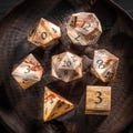 Petrified Wood Gemstone Dice Set: Polyhedral DND Dice product logo