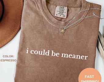 Comfort Colors 'I Could Be Meaner' Sarcastic T-Shirt