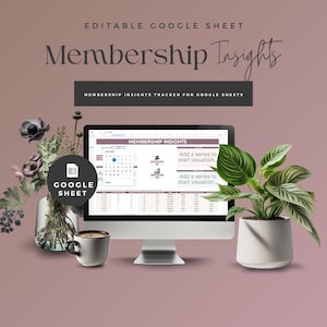 Membership Insights Google Sheet,Membership Google Sheet Template, Subscription Tracker, Digital Download, Membership Management Spreadsheet